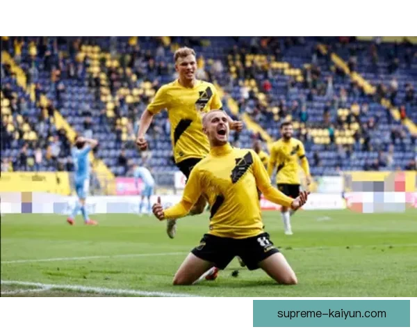 法马持续保持攻防平衡状态，表现稳健引发关注